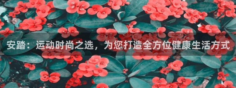 意昂5Kgame平台注册入口：安踏：运动时尚之选，为您打造全方位健康生活方式