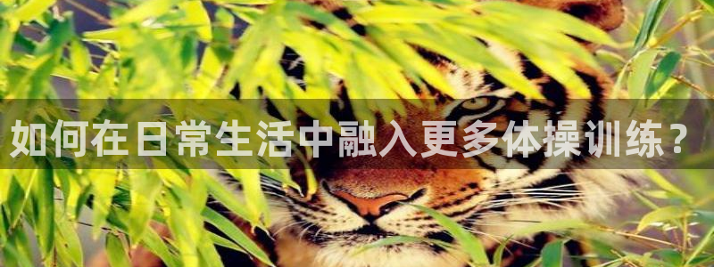 意昂5Kgame官网：如何在日常生活中融入更多体操训练？