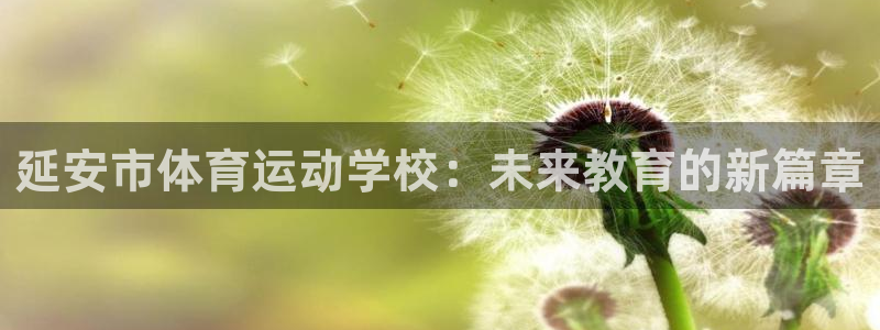 意昂5Kgame体育注册登录入口：延安市体育运动学校：未来教育的新篇章