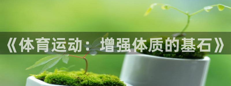 佛山市南海意昂5Kgame机电仪器有限公司：《体育运动：增强体质的基石》