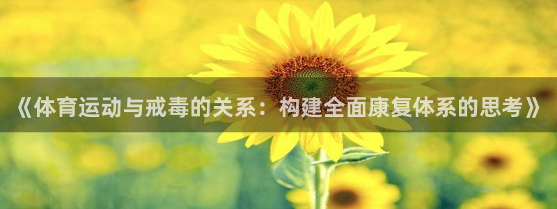 意昂5Kgame5招商：《体育运动与戒毒的关系：构建全面康复体系的思考》