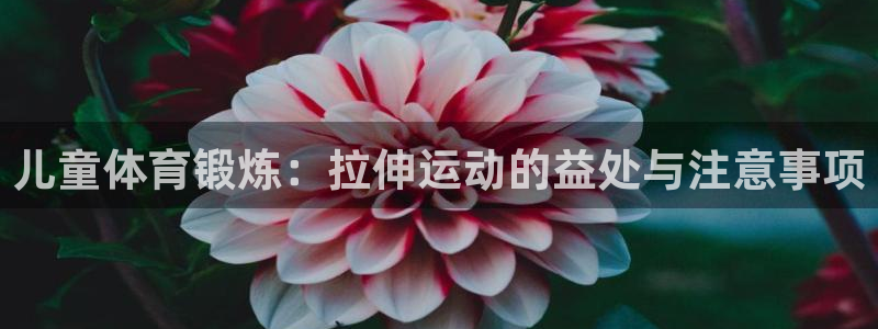 意昂5Kgame能源：儿童体育锻炼：拉伸运动的益处与注意事项