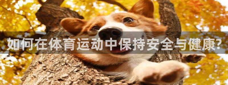 意昂5Kgame4平台：如何在体育运动中保持安全与健康?
