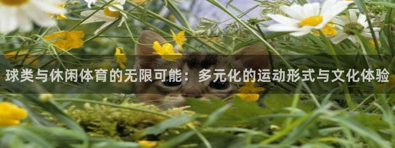 意昂5Kgame4：球类与休闲体育的无限可能：多元化的运动形式与文化体验