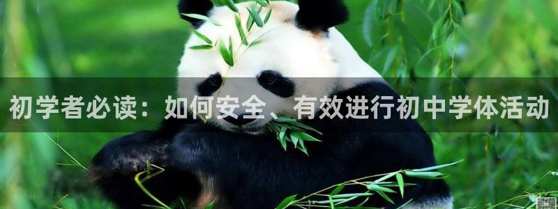意昂5Kgame招商：初学者必读：如何安全、有效进行初中学体活动