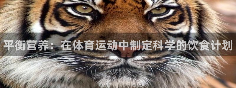 意昂5Kgame体育凯捷平台注册：平衡营养：在体育运动中制定科学的饮食计划