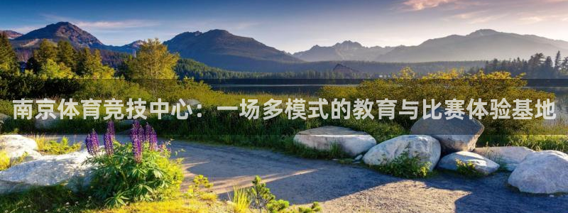 意昂5kgame平台：南京体育竞技中心：一场多模式的教育与比赛体验基地
