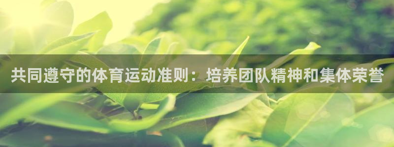 意昂5Kgame体育平台登录入口：共同遵守的体育运动准则：培养团队精神和集体荣誉